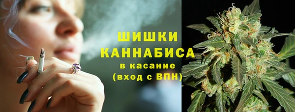 ПСИЛОЦИБИНОВЫЕ ГРИБЫ Кодинск