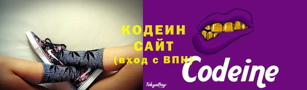 ПСИЛОЦИБИНОВЫЕ ГРИБЫ Кодинск
