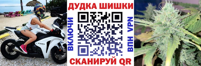 Каннабис конопля  Купить где  Городовиковск 